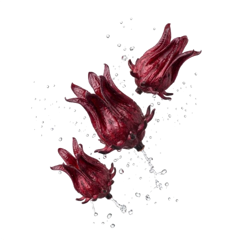 Flores de jamaica natural